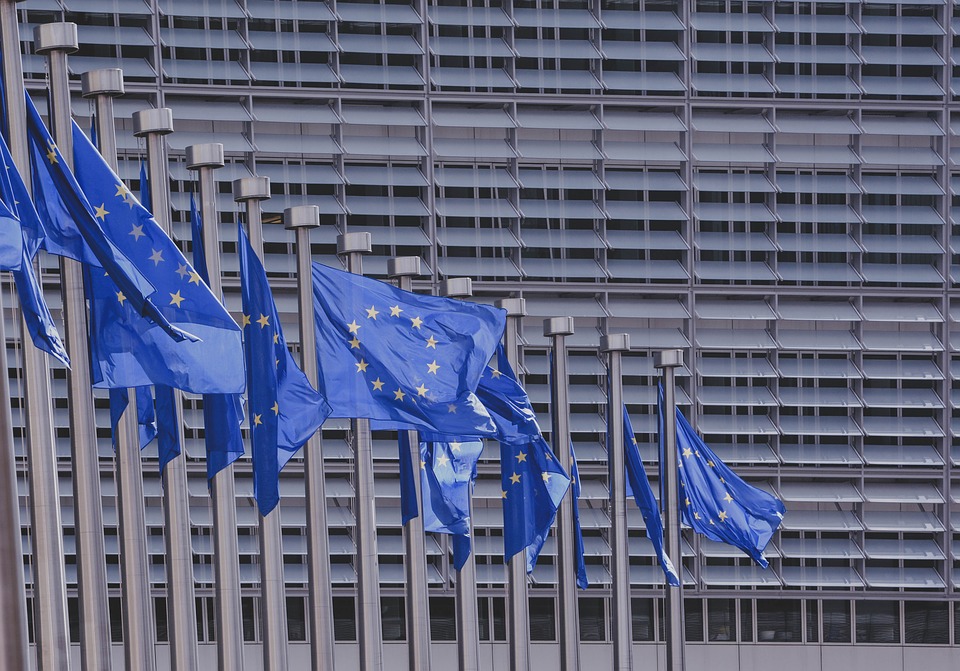 bandiere europee davanti al parlamento europeo